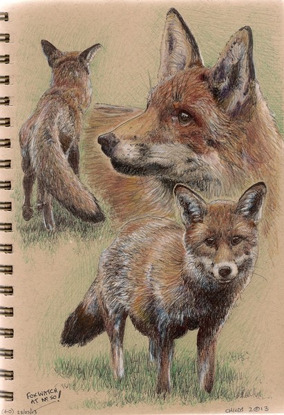 Fox Watch At No.50