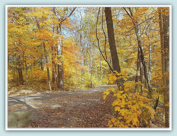 Autumn at Home...