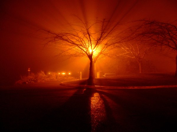 Vancouver Fog