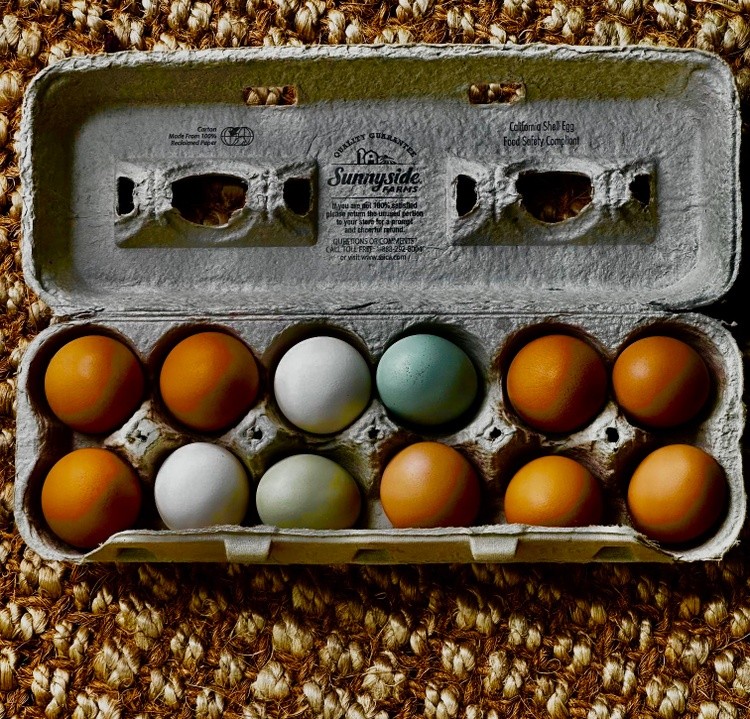 The Blue Egg