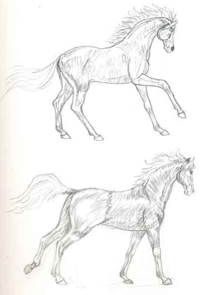 Horses Cantering 2