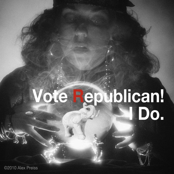Vote Republican! 11