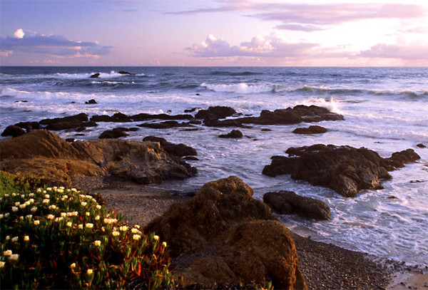 Pelican Point Sunset