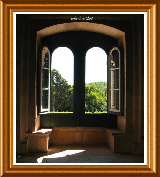 TO GAVIN NORTH... THE WINDOW