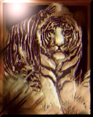 Tiger 3