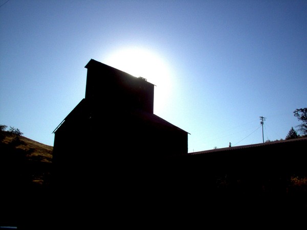 Rising Summer Sun