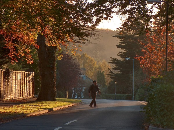 Autumn Walk.