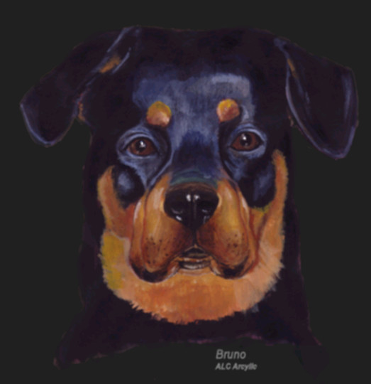 Bruno