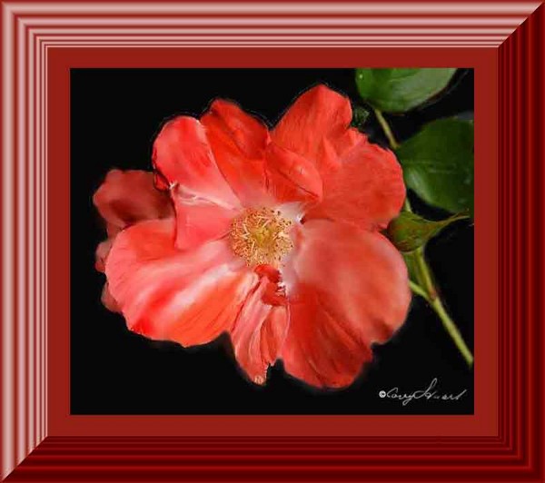 To a wild rose