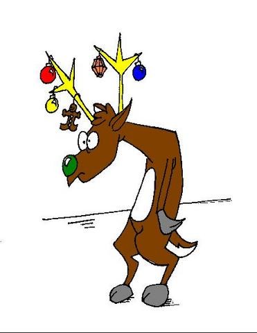 Funny Raindeer
