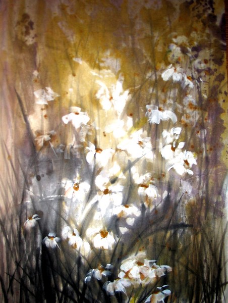 Orchid Wonder
