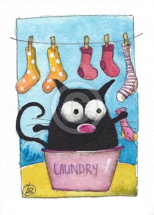 Wash day