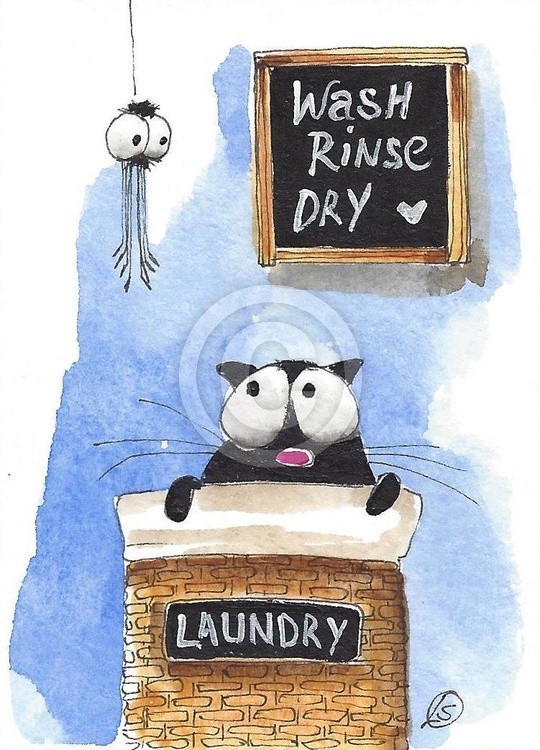 Laundry Day