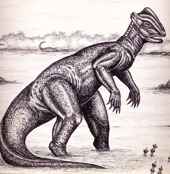 Another 'Beastie'