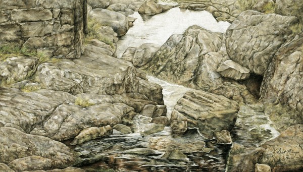 Highlands Brook