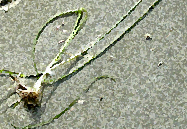 Sand Still Life