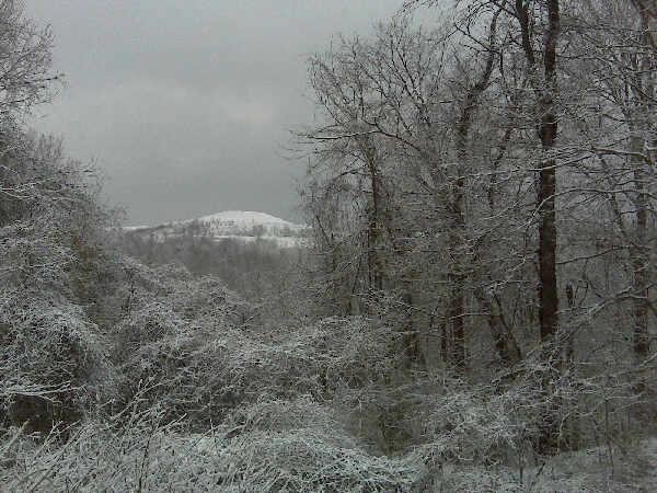 Winter 2008