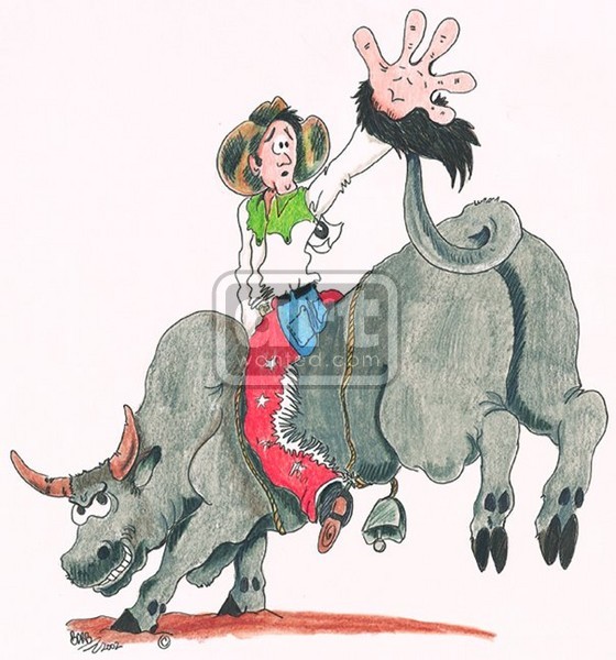 bullrider