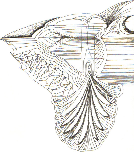 jagged shark tooth