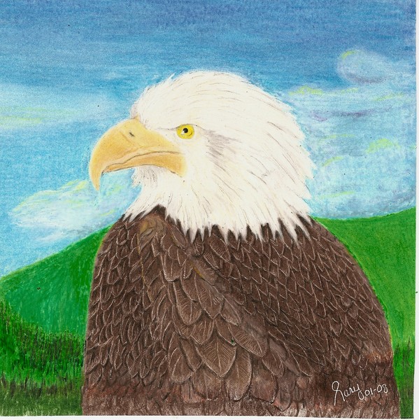 American Eagle