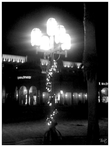 Lights