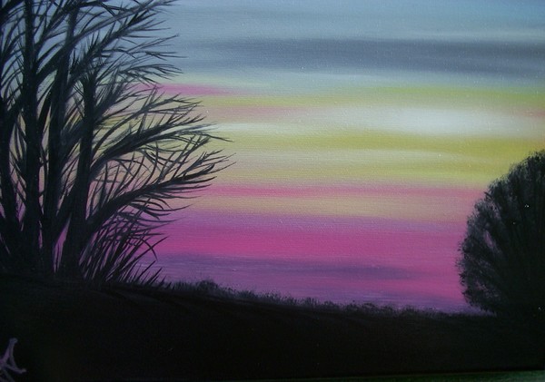 Night Skies