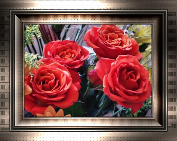4 red roses