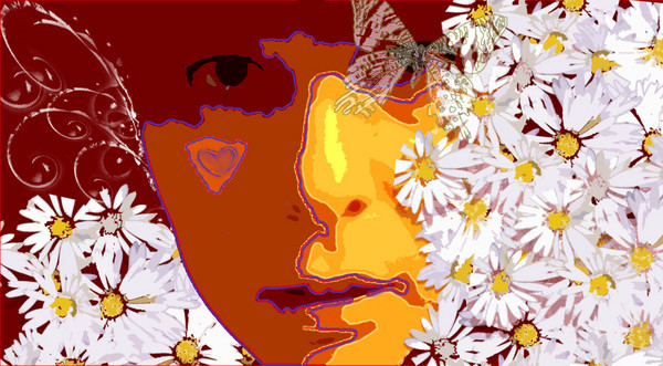 .daisy.cove.