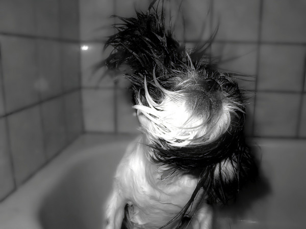 I wish I could do THIS !!!!!!!