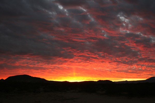 Morning Colors