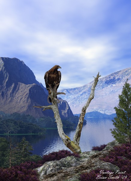 Vantage Point
