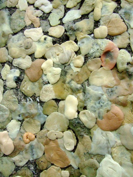 16. gum on The Wall