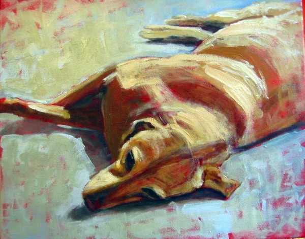 Dog Portrait 2