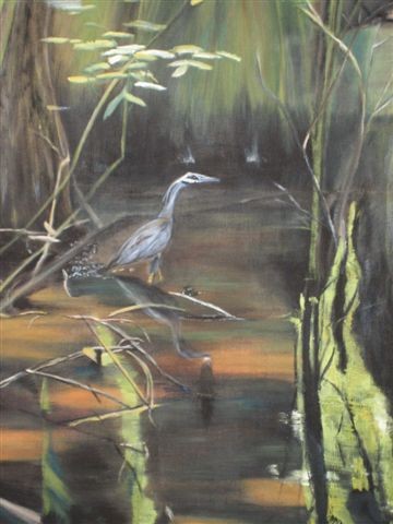 Marshes