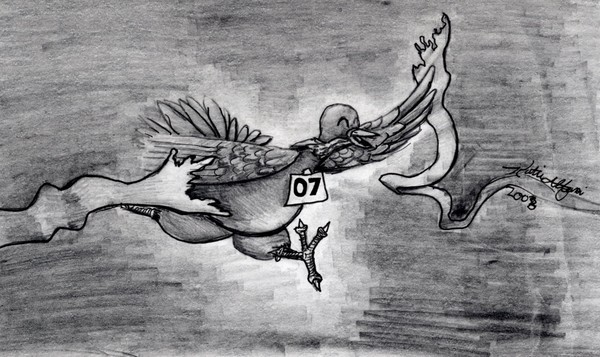 Turkey races
