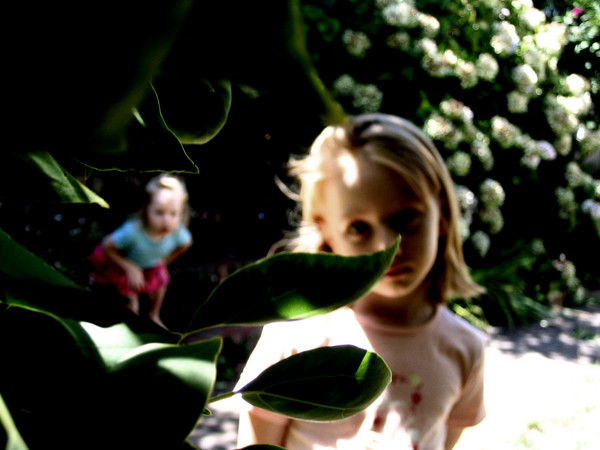 Forth from the Tree
