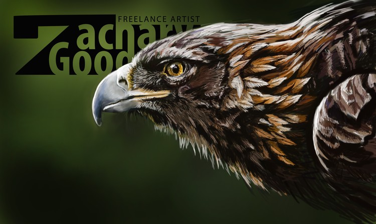 Eagle Study