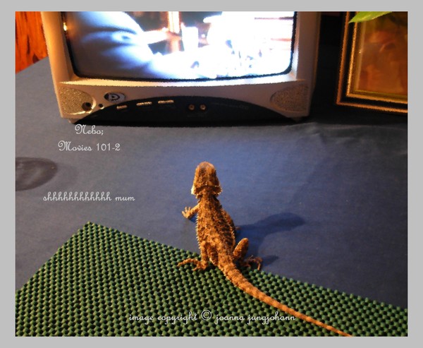 Nebo; Movies 101
