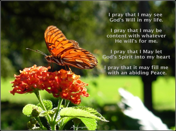 His Will