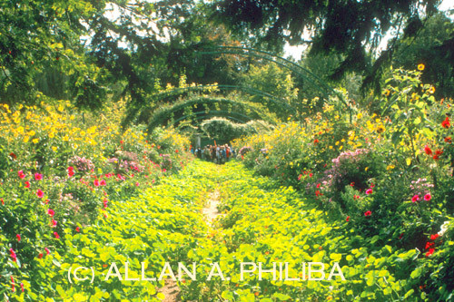 Monet Gardens