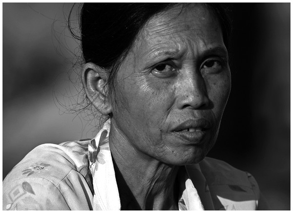 Loan Thi Vinh