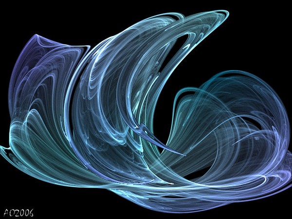 dolphin