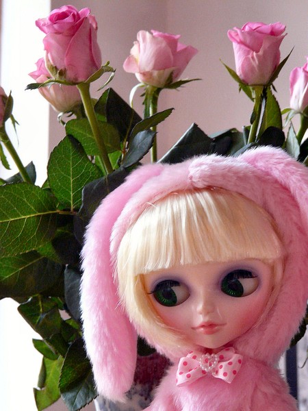 Bunny & the roses