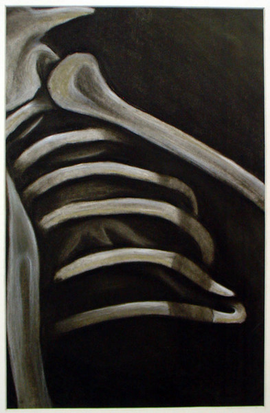 Skeleton Bones