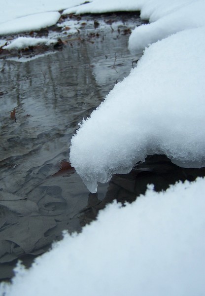 waters winteries edge