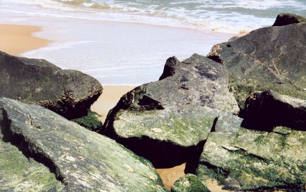 Hippo Head Rock 