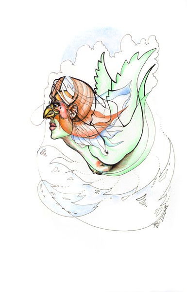 ocean flyer...