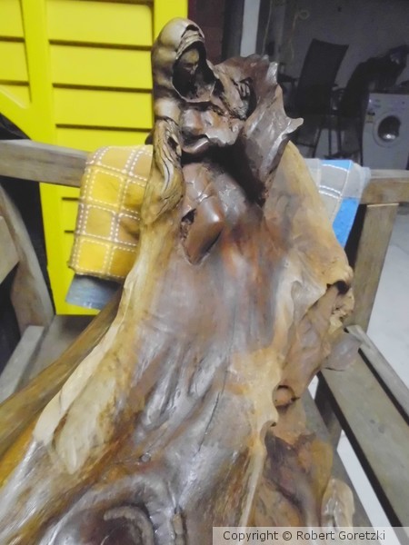 Red Cedar Tree Root, (Untitled as yet)