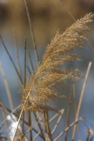 A Slight Breeze