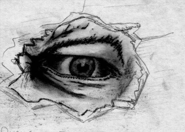 The eye
